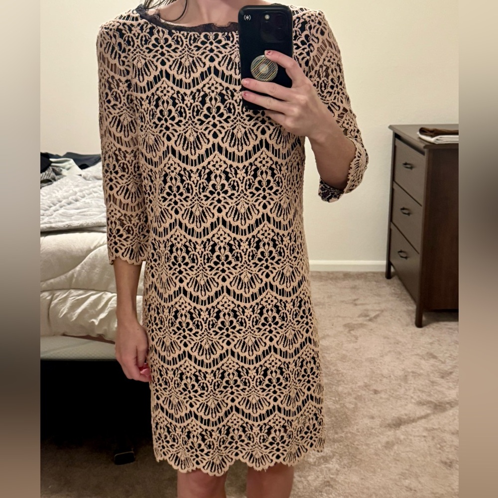 Chelsea28 Black and Cream Long Sleeve Dress